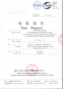 產(chǎn)品檢驗報告